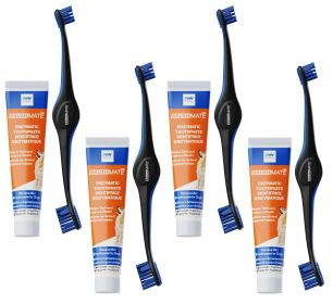 4 Tooth Brushing Kits