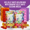 Dogtastic Jelly Shots Silicone Mold - Christmas Shapes