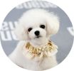 Adjustable Pet Collar With Gold Sequin Princess Dog Cat Necklace 9-18 inches
