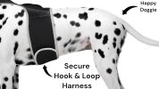 Get Realtime Pet Locations w/ Pet Tracker Mini Cat Dog GPS Tracking Collar Size:S
