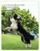 Pet Interactive Flywheel,Dog  Toy,Fun interactions buildstronger bonds